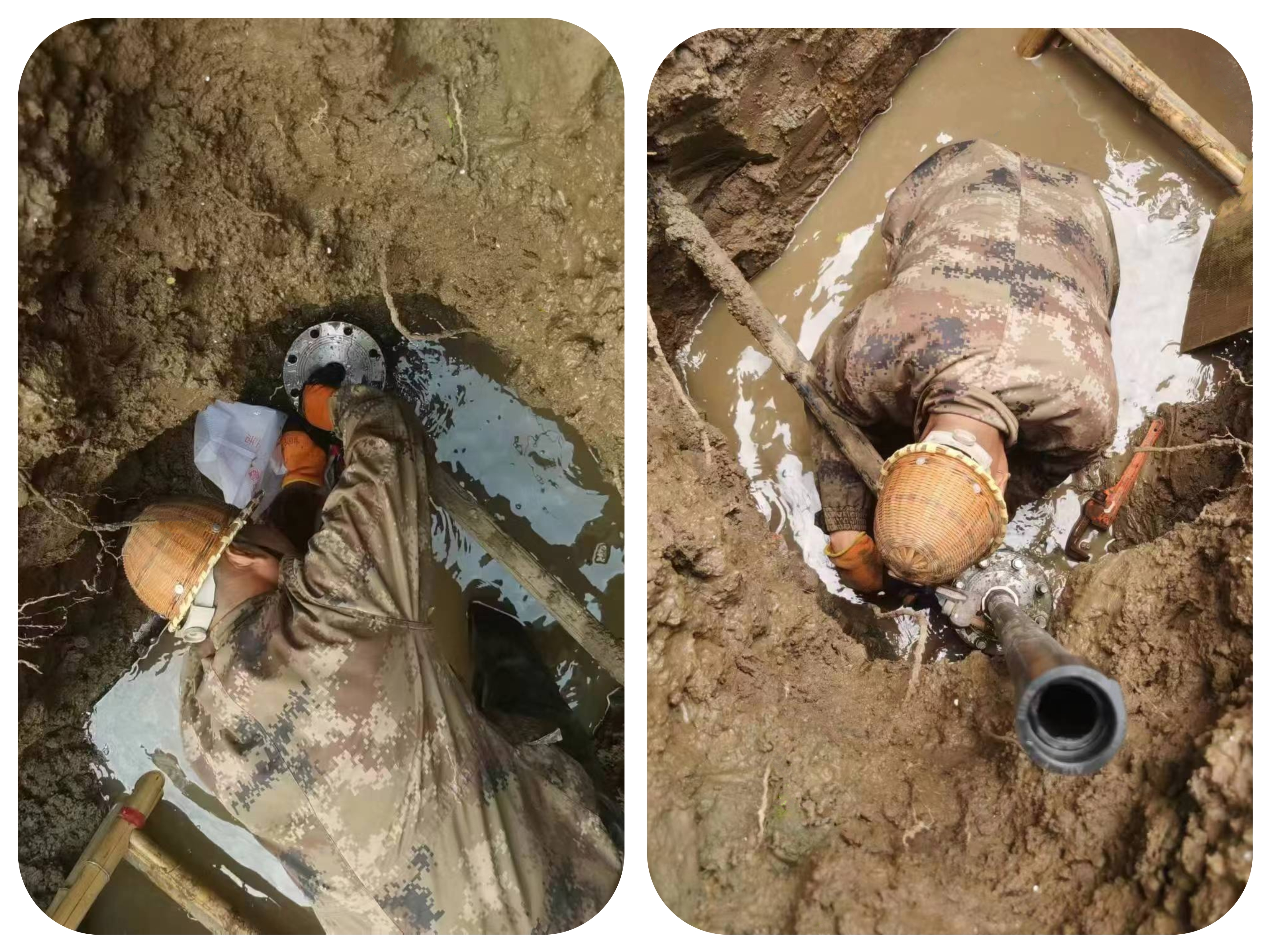 用專業(yè)服務百姓 義不容辭